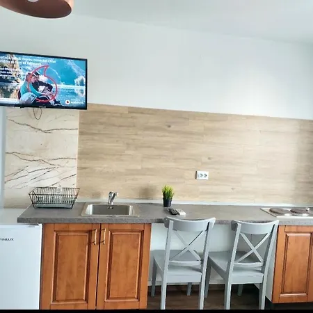 Apartament Piata Victoriei Kiseleff Park Studio Bucureşti