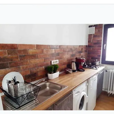Piata Victoriei Kiseleff Park Studio Apartament