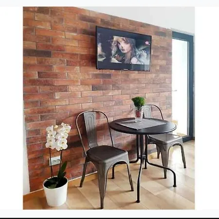 Piata Victoriei Kiseleff Park Studio Apartament *