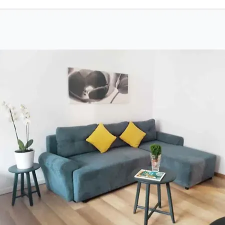 Piata Victoriei Kiseleff Park Studio Apartament *