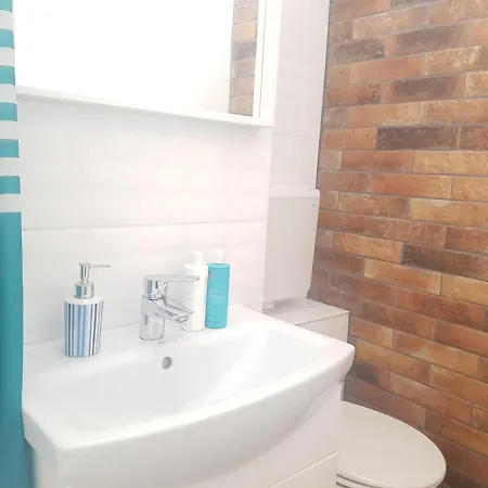 Apartament Piata Victoriei Kiseleff Park Studio *